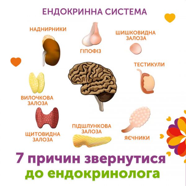 7 причин звернутися до ендокринолога