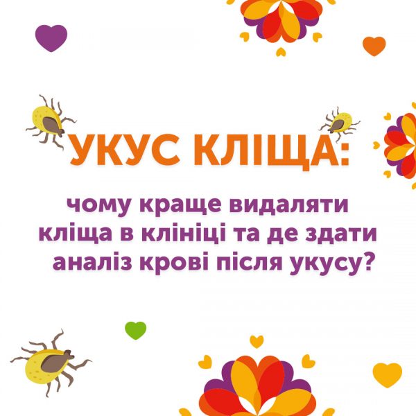 Укус кліща: чому краще видаляти кліща в клініці та де здати аналіз крові після укусу?