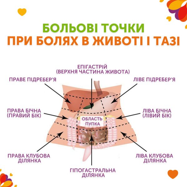 Больові точки при болях в животі і тазі