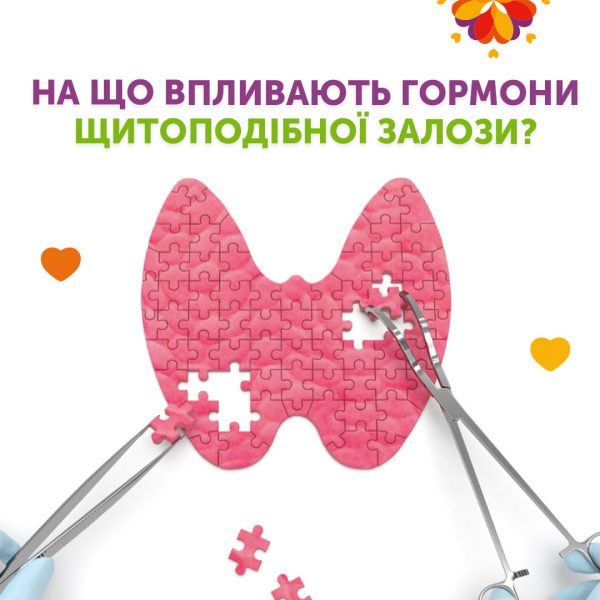На що впливають гормони щитоподібної залози