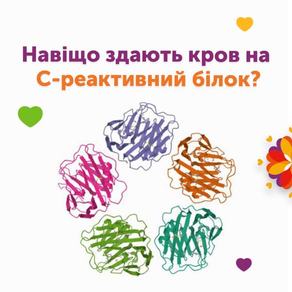 Навіщо здають кров на С-реактивний білок?