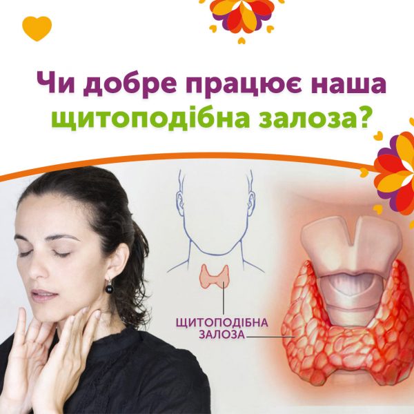 Чи добре працює наша щитоподібна залоза?