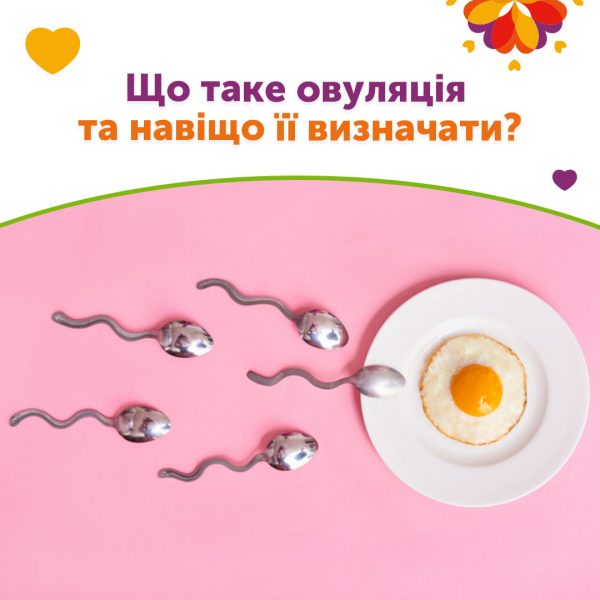 Що таке овуляція та навіщо її визначати?