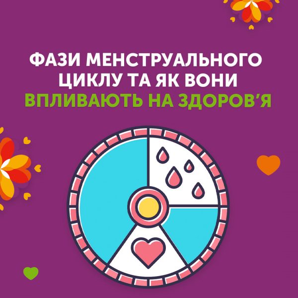 Фази менструального циклу та як вони впливають на ваше здоров’я