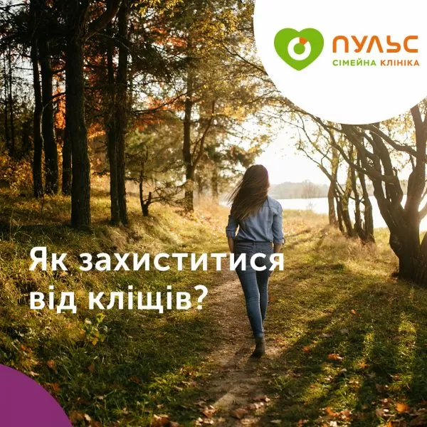 Клещи: кто это, чем опасны, как защитить себя