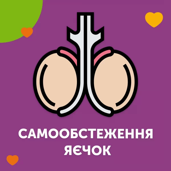 Самообследование яичек