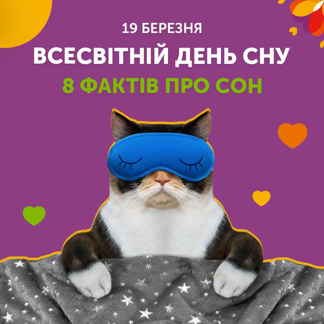 8 фактов о сне