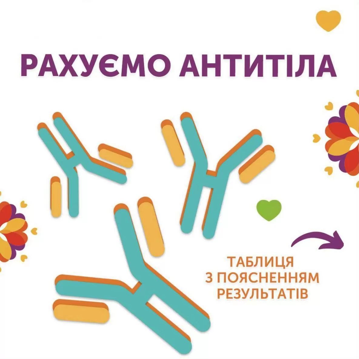 Считаем антитела