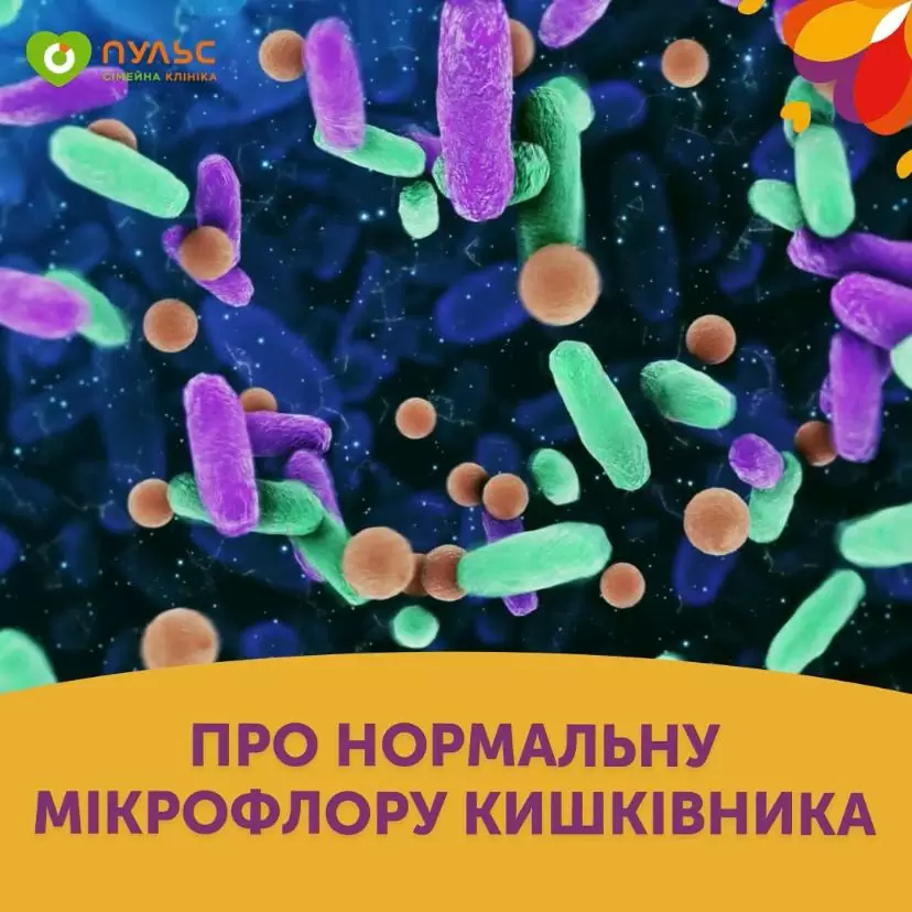 О нормальной микрофлоре кишечника