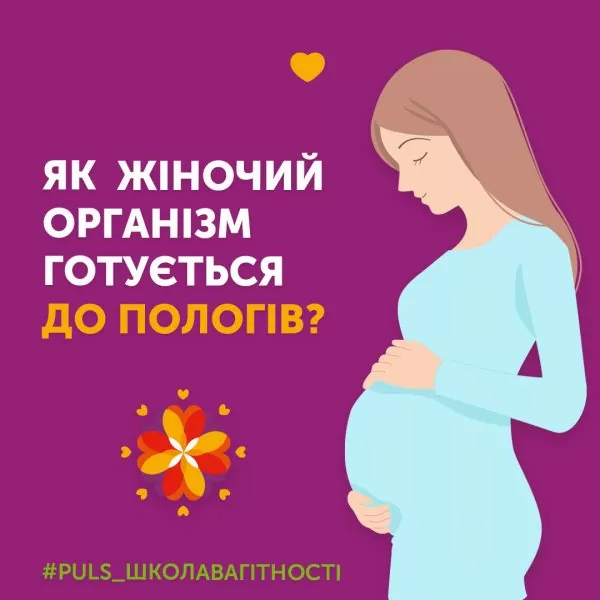 Як жіночий організм  готується до пологів?
