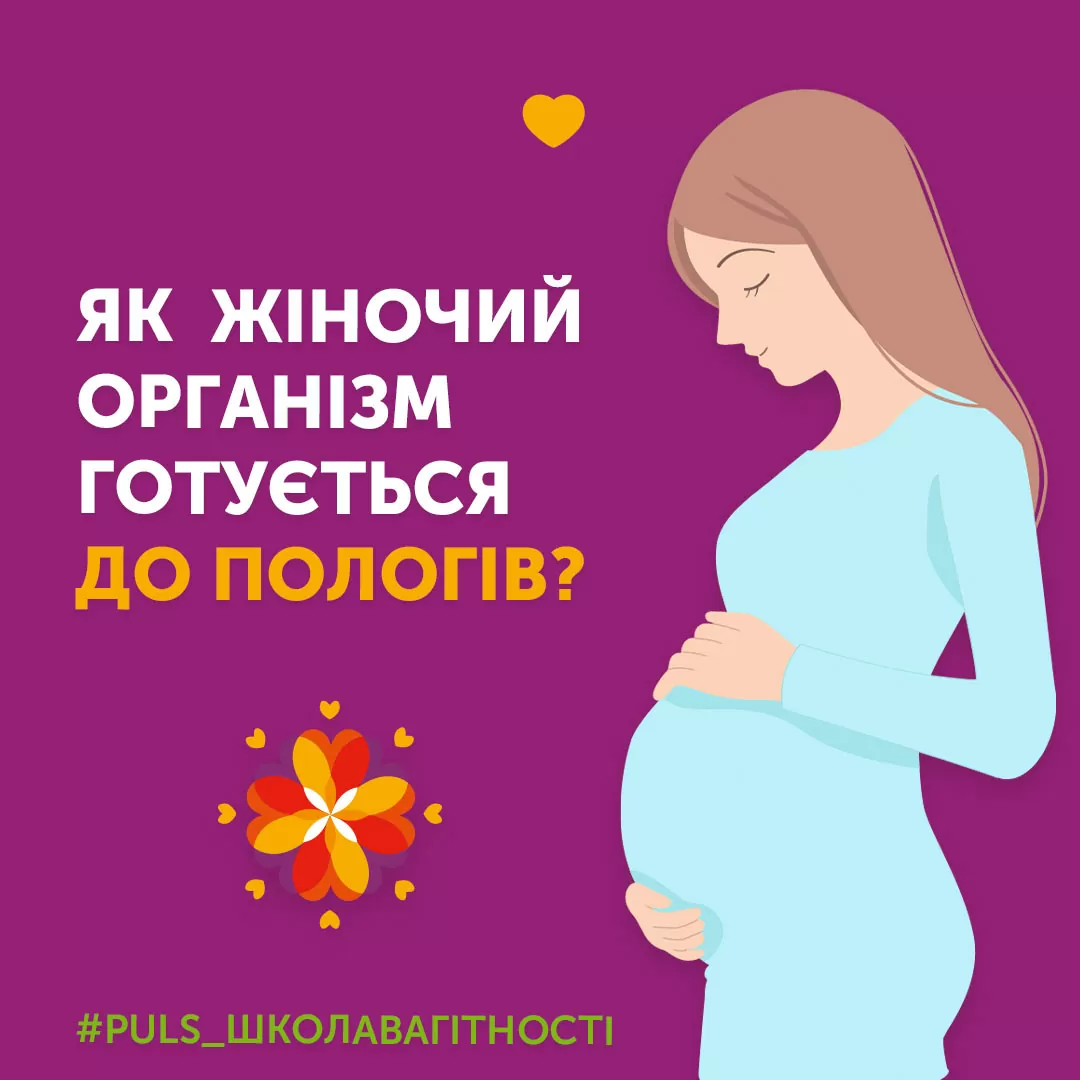 Як жіночий організм  готується до пологів?